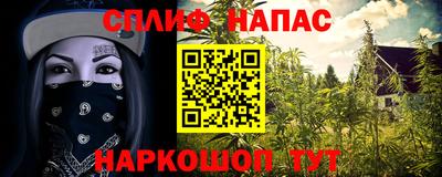 ешки Славгород