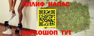 гидра Славянск-на-Кубани