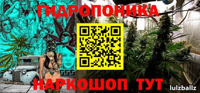гидра Славянск-на-Кубани