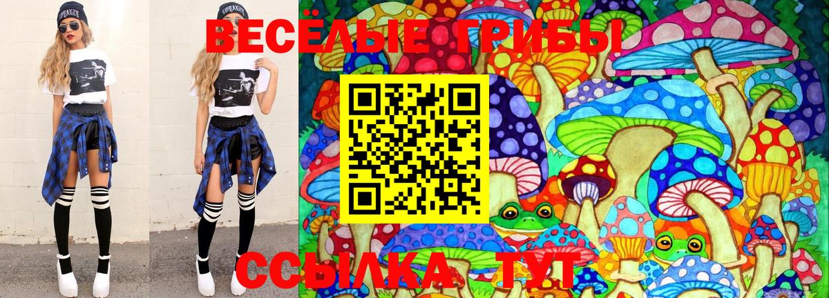 Нижний Новгород  Галлюциногенные грибы MAGIC MUSHROOMS  Вход с VPN  Псилоцибиновые грибы GOLDEN TEACHER 